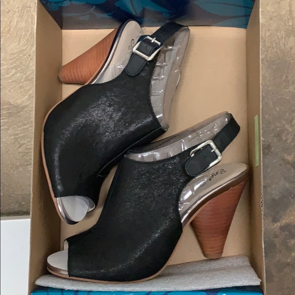 Seychelles Callin My Bluff